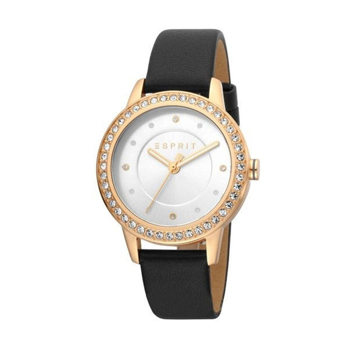 Montre Femme Esprit ES1L163L0045